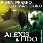 album image CaSoliNa PartY RemiX 2011 NeW Piden Perreo ... Lo Más Duro (Deluxe Edition)