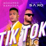 album image Тик - Ток (Tik Tok) (2021) TIK TOK - Single