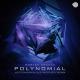 Morten Granau - Polynomial