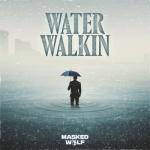 album image Water Walkin Water Walkin - Single