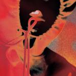 album image Mean Beautiful Havoc