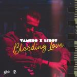 album image Bleeding Love Bleeding Love - Single