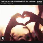 album image Wonderful Days Wonderful Days - Single