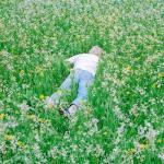 album image Musician Nurture