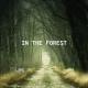 Lesfm - In The Forest - Acoustic Indie
