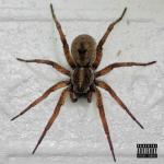 album image Simera Still Active