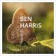 Ben Harris - Bounce Vc
