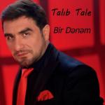 album image Bir dənəm / YENİ / 2021