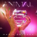 album image Mi Debilidad Animal
