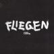 1986zig - Fliegen