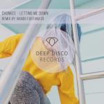 album image Letting Me Down (Nando Fortunato Remix)