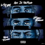 album image Not In The Mood Not in the Mood - Single