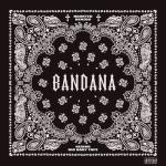 album image Big Tymers BANDANA I