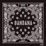 album image 99 Problems BANDANA I
