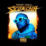 album image Dynamite(2021) Scorcha