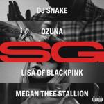 album image SG SG - Single