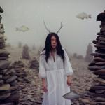 album image Летит Северный ветер