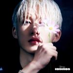 album image ‘COSMOS’ COSMOS