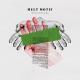 Melt Motif - Everything Will Disappear