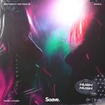 album image Hush Hush (Don't Be Shy) (DJ Brooklyn Edit) Hush Hush (Don't Be Shy) - Single