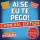 Michel Teló - Ai Se Eu Te Pego ( Dj Pasha Life mush up 2012)