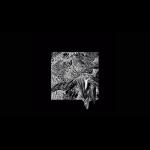 album image Just Friends Avalanche - Single
