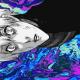 Unknown artist - Bad And Boujee x Butterfly (Moonman Remix Mashup Tiktok) Migos x Crazy Town