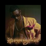 album image Hotline Hummingbird