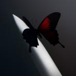 album image Cooped Up (без части Roddy Rich) Twelve Carat Toothache