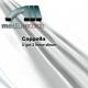 Cappella 2.0 feat. Mastro J - U Got 2 Let the Music