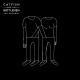 Catfish and the Bottlemen - Homesick