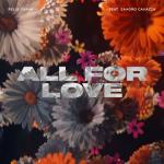 album image All For Love All For Love (feat. Sandro Cavazza) - Single