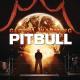 Pitbull - Feel This Moment (DJ Class RMX) (Extended Mix)