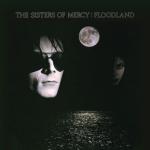 album image Lucretia My Reflection (Vinyl Version; New Version for Digital) Floodland
