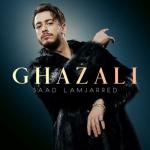 album image Ghazali Ghazali - Single