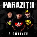 album image 3 Cuvinte 3 Cuvinte - Single
