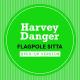 Harvey Danger - Flagpole Sitta