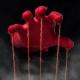 Infected - The Marionette Of Hell