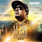 album image Situation grave Le son du bled la trilogie (The Best Of)