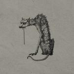 album image Dog's Dinner Dog's Dinner