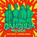 poster Gangnum (Remix) Gangnum (Remix)