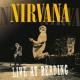 Nirvana - Territorial Pissings (1992/Live at Reading)