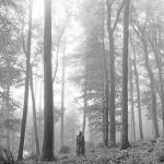 album image mad woman folklore: the sleepless nights chapter