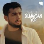 poster Bilmaysan yor Bilmaysan yor