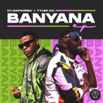 album image Banyana (Shimza Remix) Shimza Amapiano Afrotech Remixes
