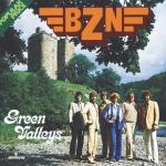 album image Himalaya (Instrumental) Green Valleys