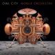 Owl City feat. Aloe Blacc - Verge