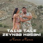 poster Narın Narın Narın Narın