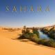 Kaisy - Sahara