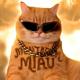 BRAZILIAN MASTER, Бразильский Фонк, PHONK GROOVE - MONTAGEM MIAU (ULTRA SPED UP) (Бразильский Фонк)